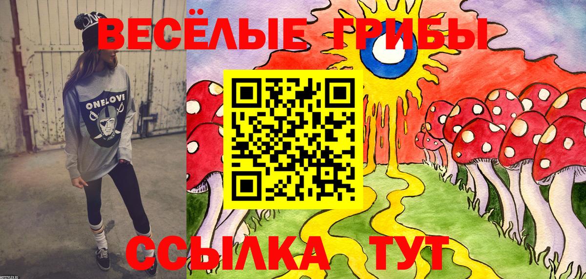 Галлюциногенные грибы Cubensis Зима